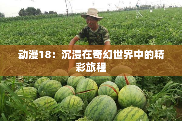 动漫18：沉浸在奇幻世界中的精彩旅程