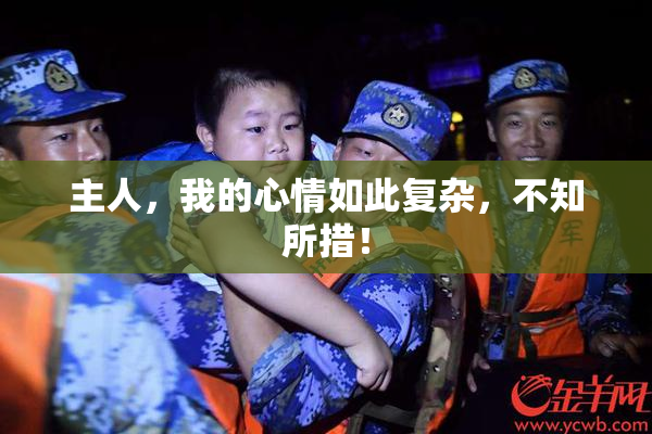 主人，我的心情如此复杂，不知所措！