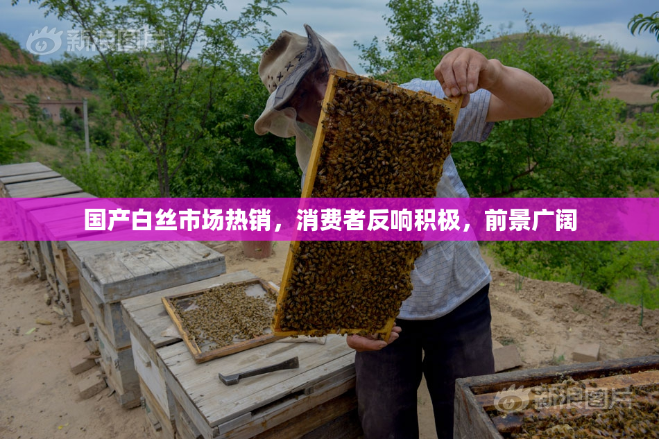 国产白丝市场热销，消费者反响积极，前景广阔