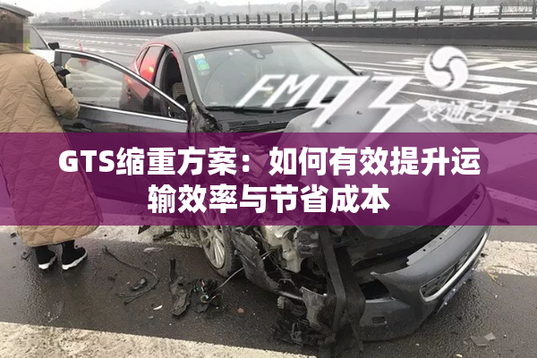 GTS缩重方案：如何有效提升运输效率与节省成本