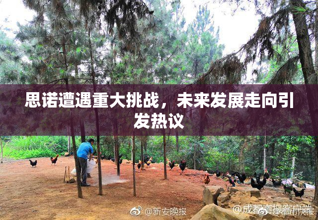 思诺遭遇重大挑战，未来发展走向引发热议