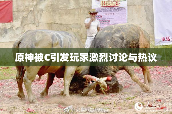 原神被C引发玩家激烈讨论与热议