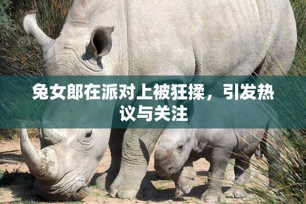 兔女郎在派对上被狂揉，引发热议与关注