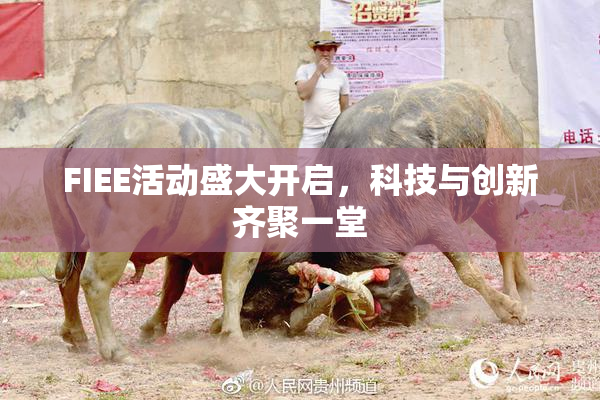 FIEE活动盛大开启，科技与创新齐聚一堂