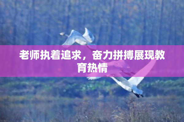 老师执着追求，奋力拼搏展现教育热情
