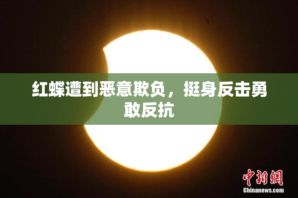 红蝶遭到恶意欺负，挺身反击勇敢反抗