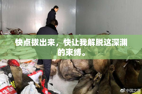 快点拔出来，快让我解脱这深渊的束缚。