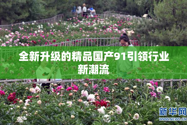 全新升级的精品国产91引领行业新潮流