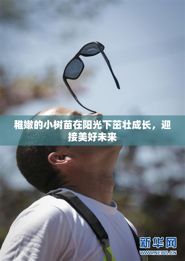 稚嫩的小树苗在阳光下茁壮成长，迎接美好未来