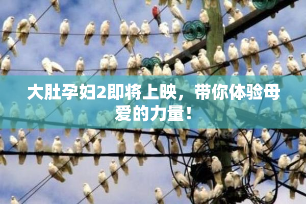 大肚孕妇2即将上映，带你体验母爱的力量！