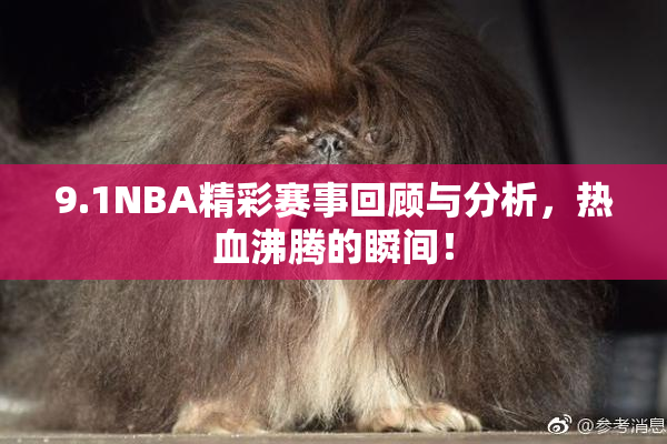9.1NBA精彩赛事回顾与分析，热血沸腾的瞬间！