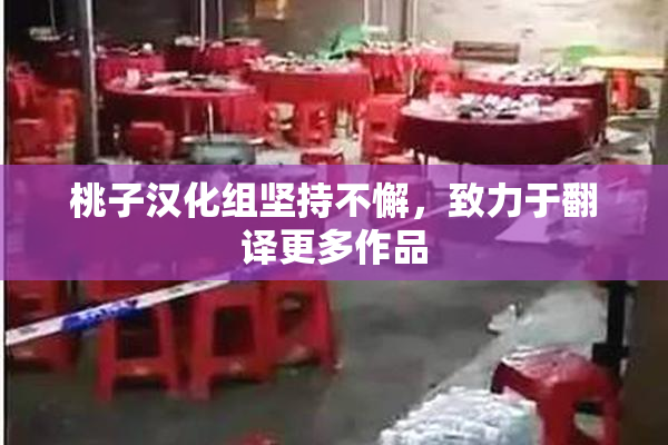 桃子汉化组坚持不懈，致力于翻译更多作品