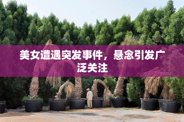 美女遭遇突发事件，悬念引发广泛关注