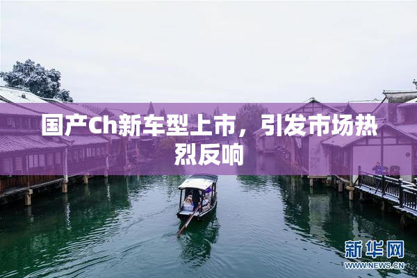 国产Ch新车型上市，引发市场热烈反响