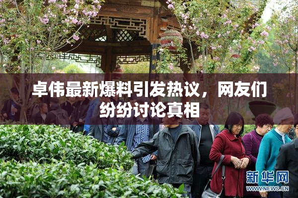 卓伟最新爆料引发热议，网友们纷纷讨论真相