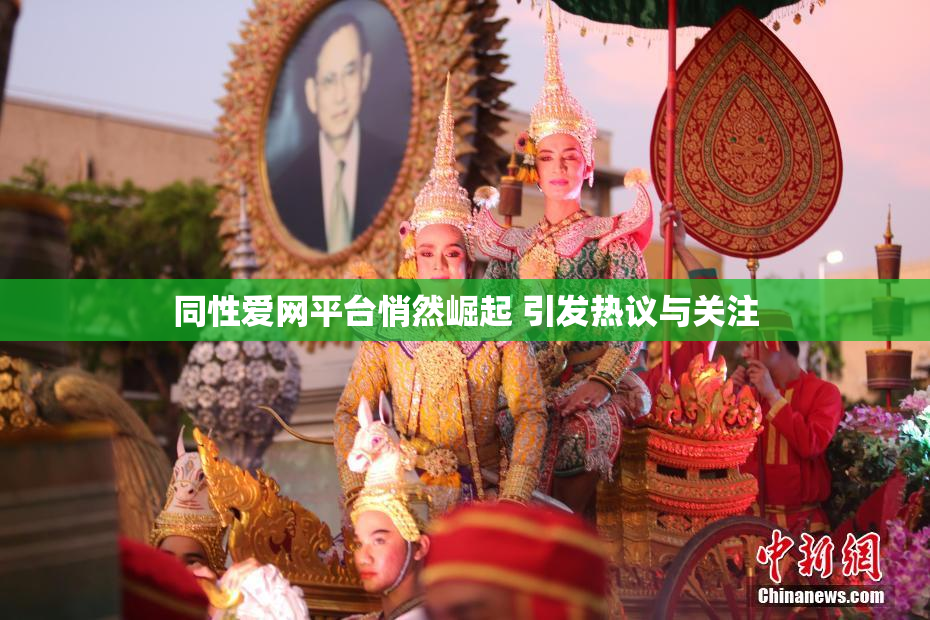 同性爱网平台悄然崛起 引发热议与关注