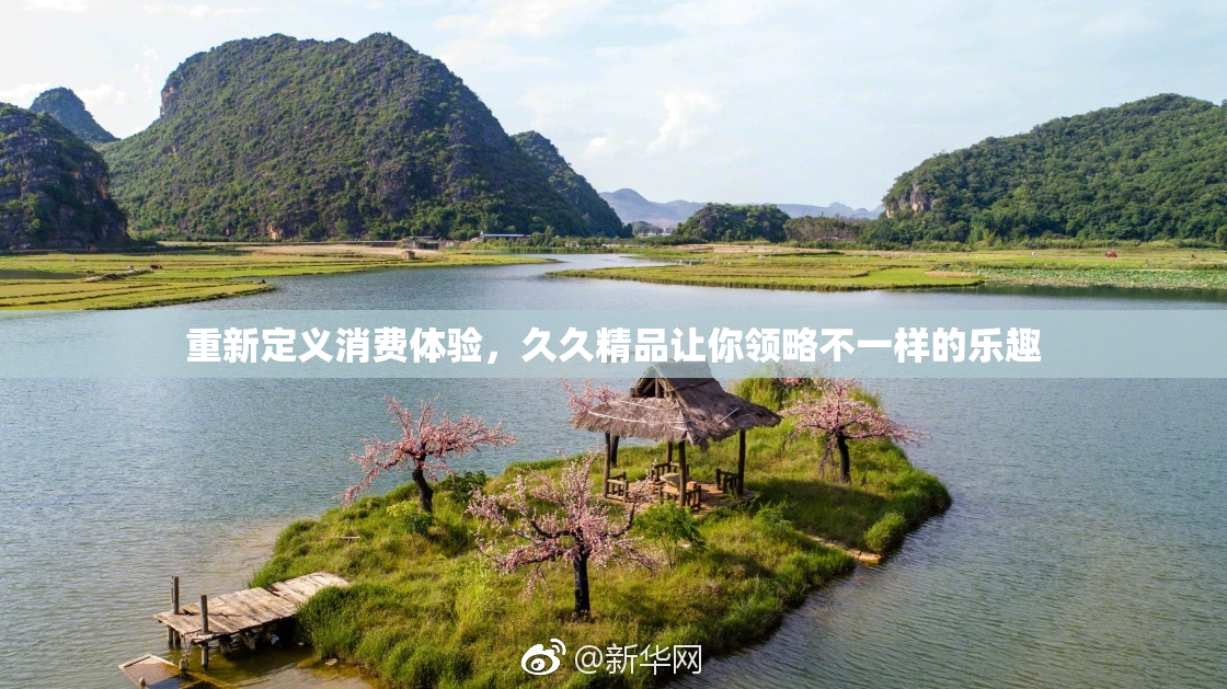 重新定义消费体验，久久精品让你领略不一样的乐趣