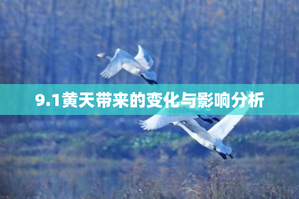 9.1黄天带来的变化与影响分析