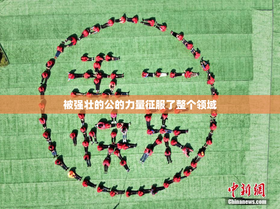 被强壮的公的力量征服了整个领域