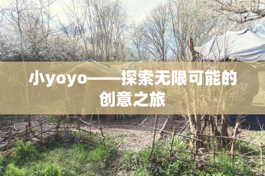 小yoyo——探索无限可能的创意之旅