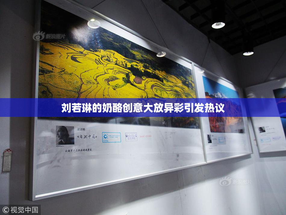 刘若琳的奶酪创意大放异彩引发热议