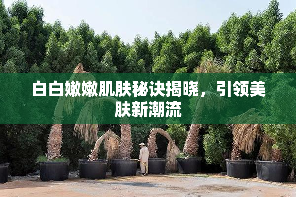 白白嫩嫩肌肤秘诀揭晓，引领美肤新潮流