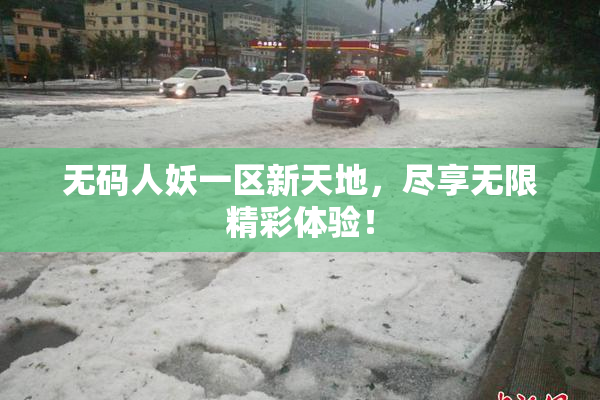 无码人妖一区新天地，尽享无限精彩体验！