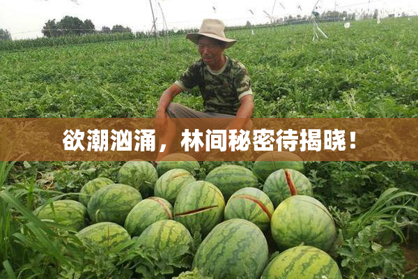 欲潮汹涌，林间秘密待揭晓！