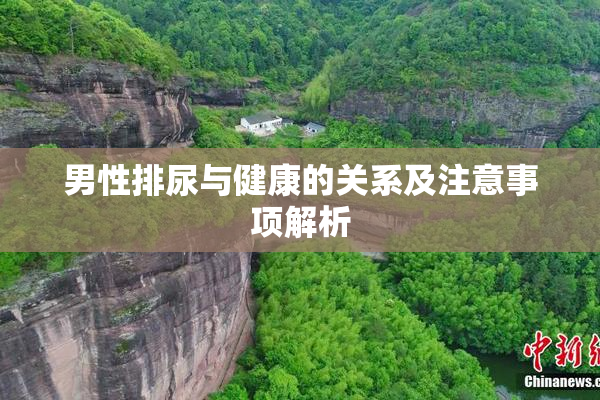 男性排尿与健康的关系及注意事项解析