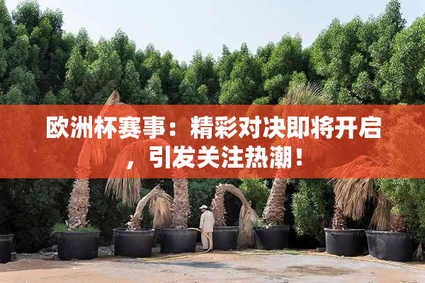 欧洲杯赛事：精彩对决即将开启，引发关注热潮！