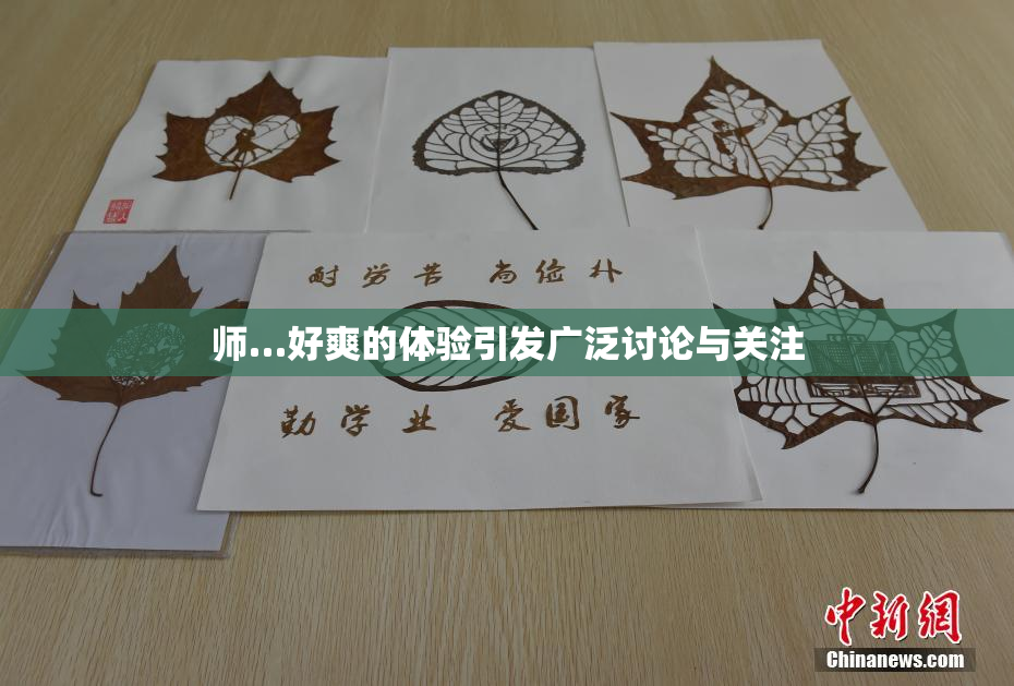 师…好爽的体验引发广泛讨论与关注