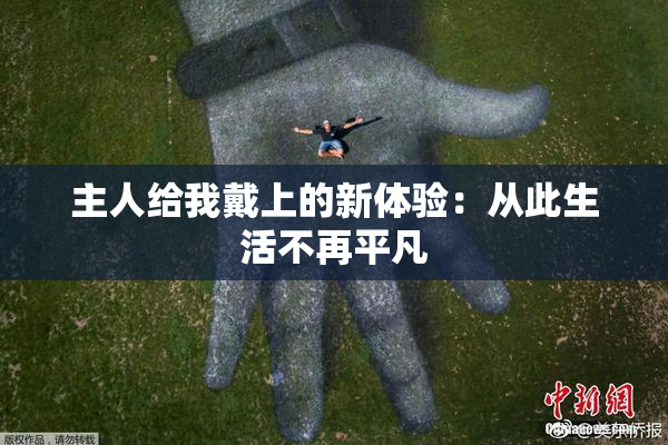 主人给我戴上的新体验：从此生活不再平凡