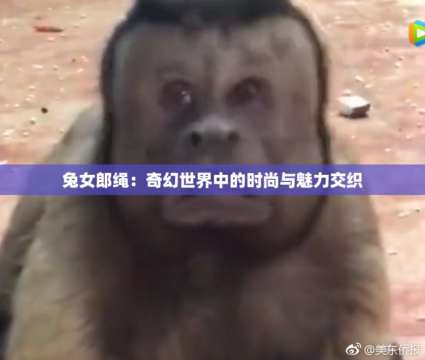 兔女郎绳：奇幻世界中的时尚与魅力交织