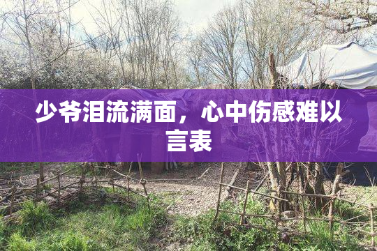 少爷泪流满面，心中伤感难以言表