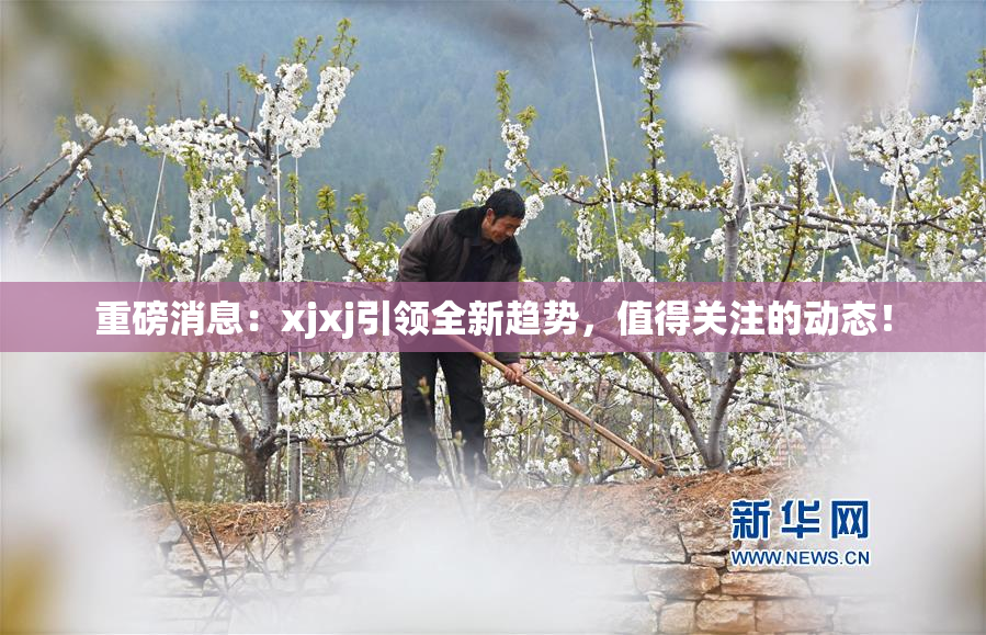 重磅消息：xjxj引领全新趋势，值得关注的动态！