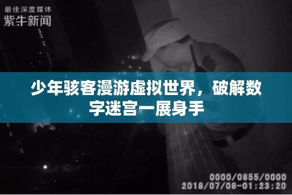 少年骇客漫游虚拟世界，破解数字迷宫一展身手
