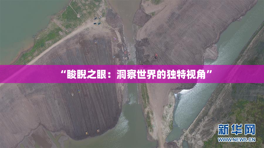 “睃睨之眼：洞察世界的独特视角”