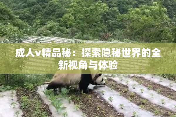 成人v精品秘：探索隐秘世界的全新视角与体验