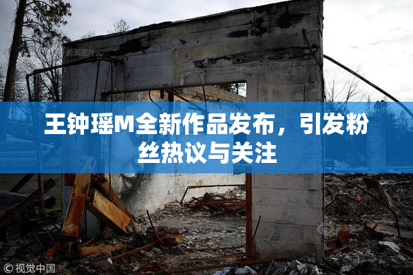 王钟瑶M全新作品发布，引发粉丝热议与关注