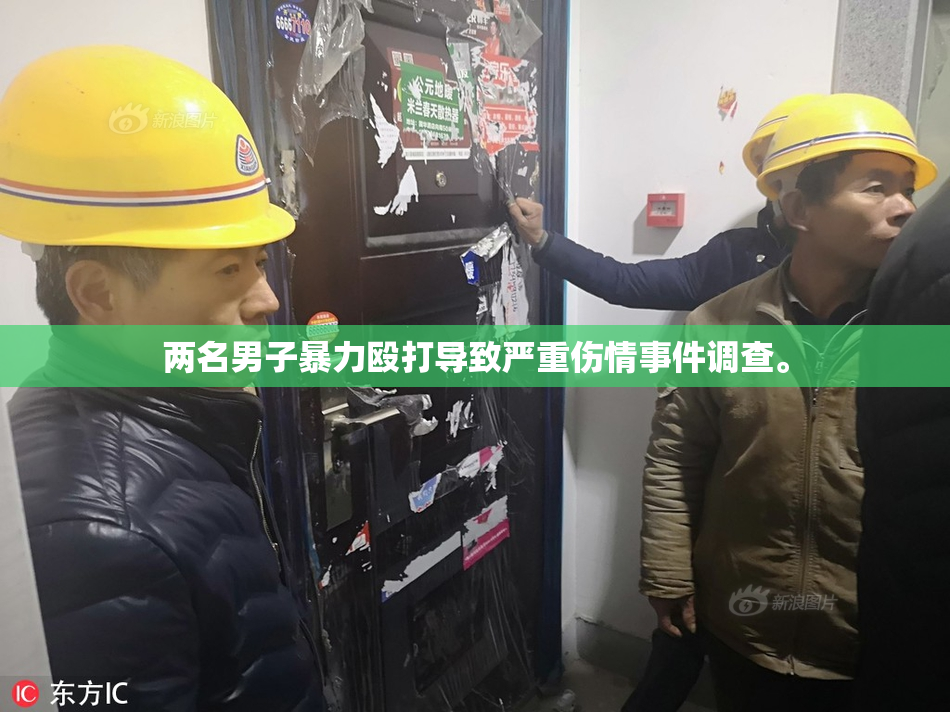 两名男子暴力殴打导致严重伤情事件调查。