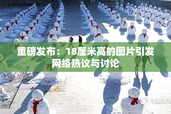重磅发布：18厘米高的图片引发网络热议与讨论