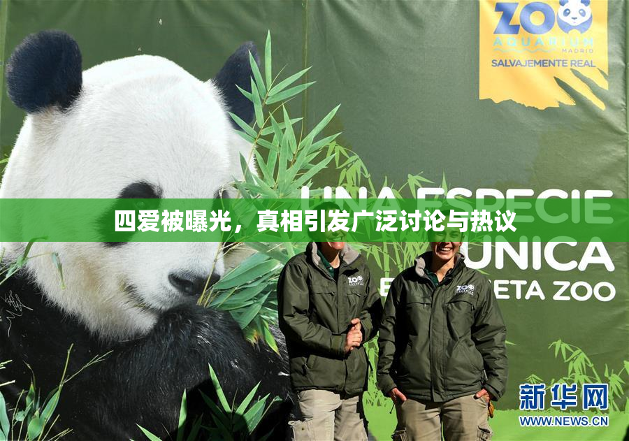 四爱被曝光，真相引发广泛讨论与热议