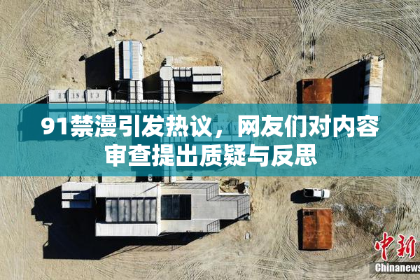91禁漫引发热议，网友们对内容审查提出质疑与反思