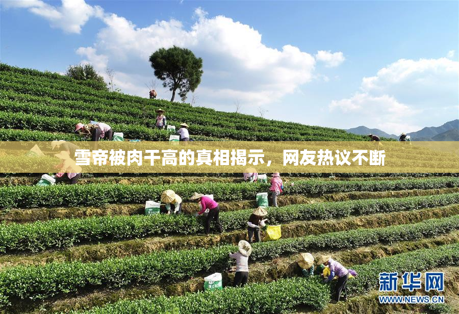 雪帝被肉干高的真相揭示，网友热议不断