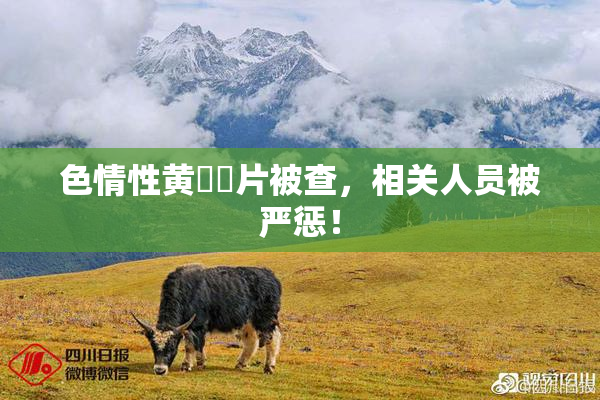 色情性黄❌‌片被查，相关人员被严惩！