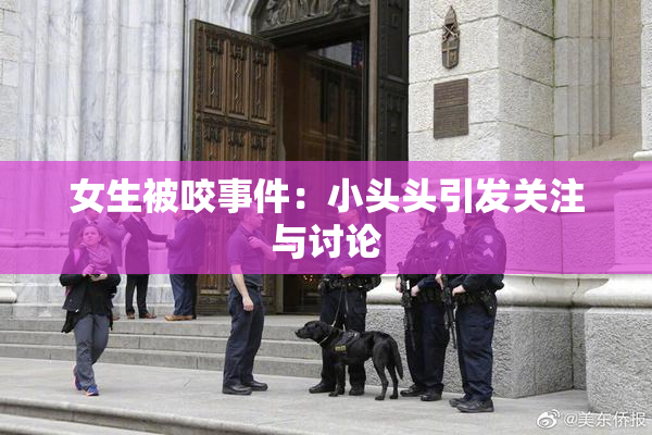 女生被咬事件：小头头引发关注与讨论