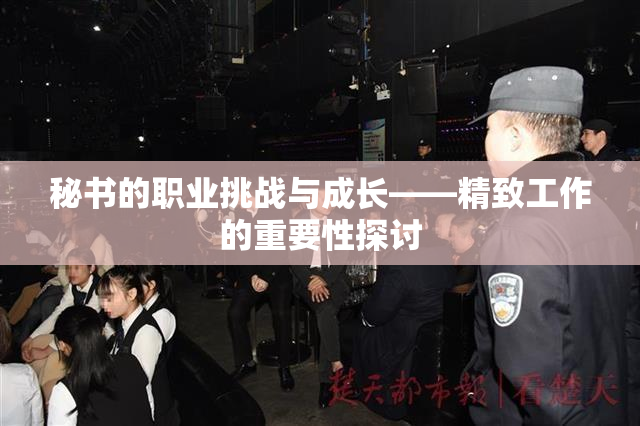 秘书的职业挑战与成长——精致工作的重要性探讨