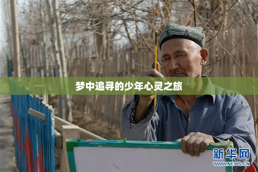梦中追寻的少年心灵之旅