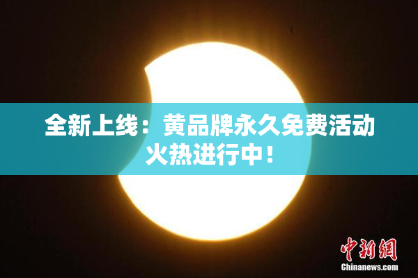 全新上线：黄品牌永久免费活动火热进行中！