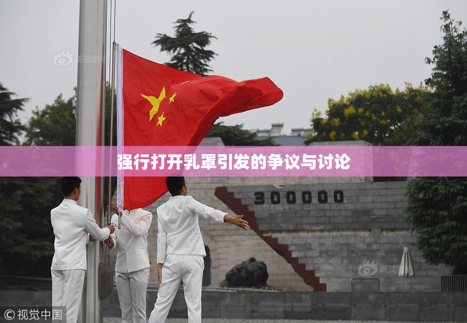 强行打开乳罩引发的争议与讨论